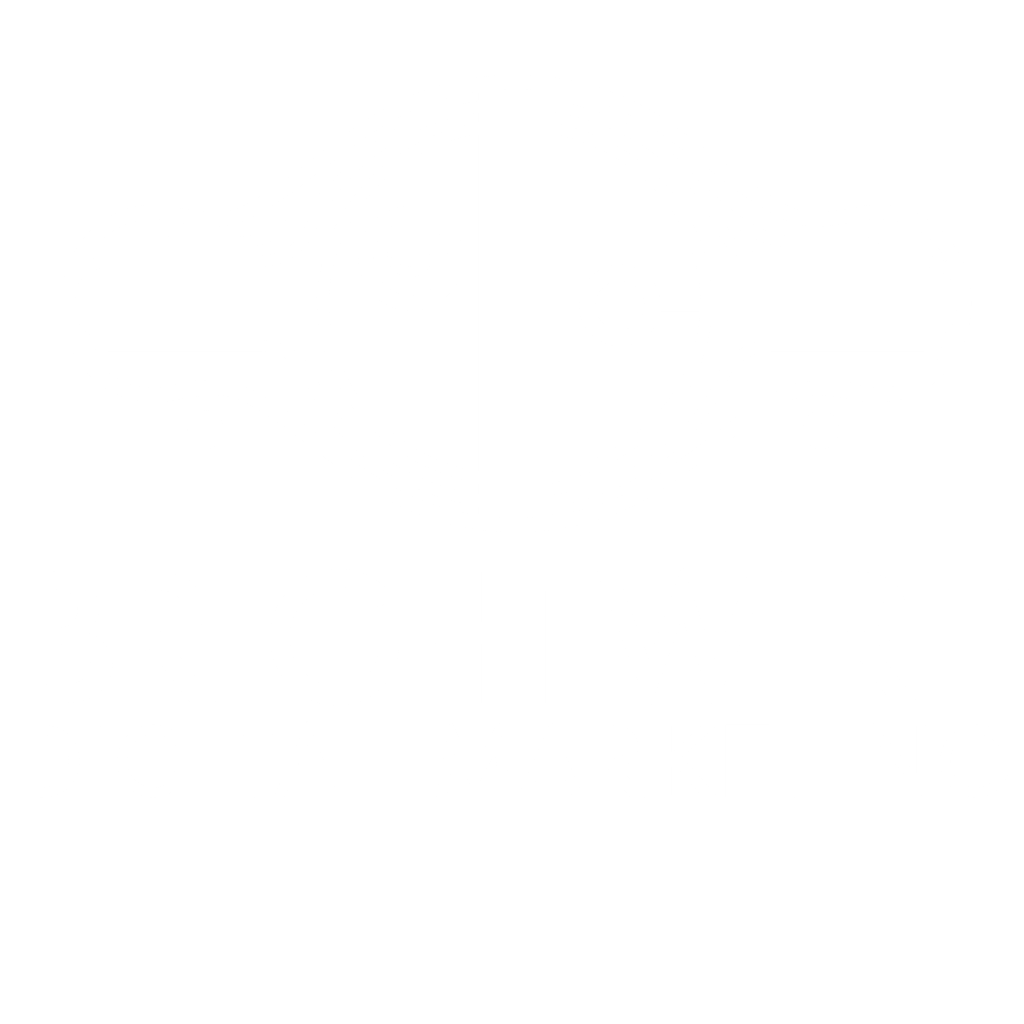 Brightwire Digital Marketing Logo